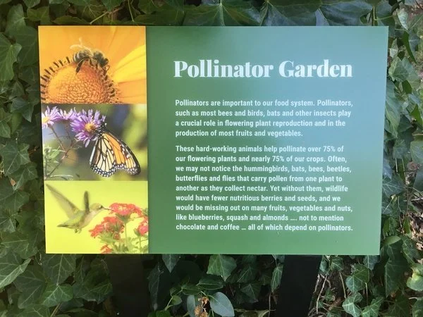 AAA Pollinator Garden.jpg