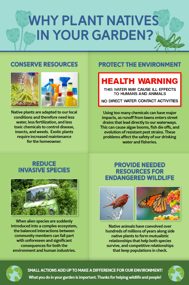 Screenshot 2026-02-12 113712.png