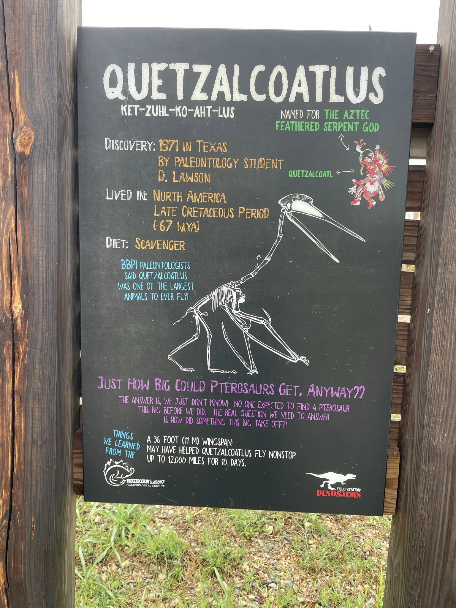 Field Station Dinosaur (35).JPEG