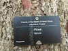 Arboretum Signs and Tree Labels | Plant ID Signs — Lark Signs