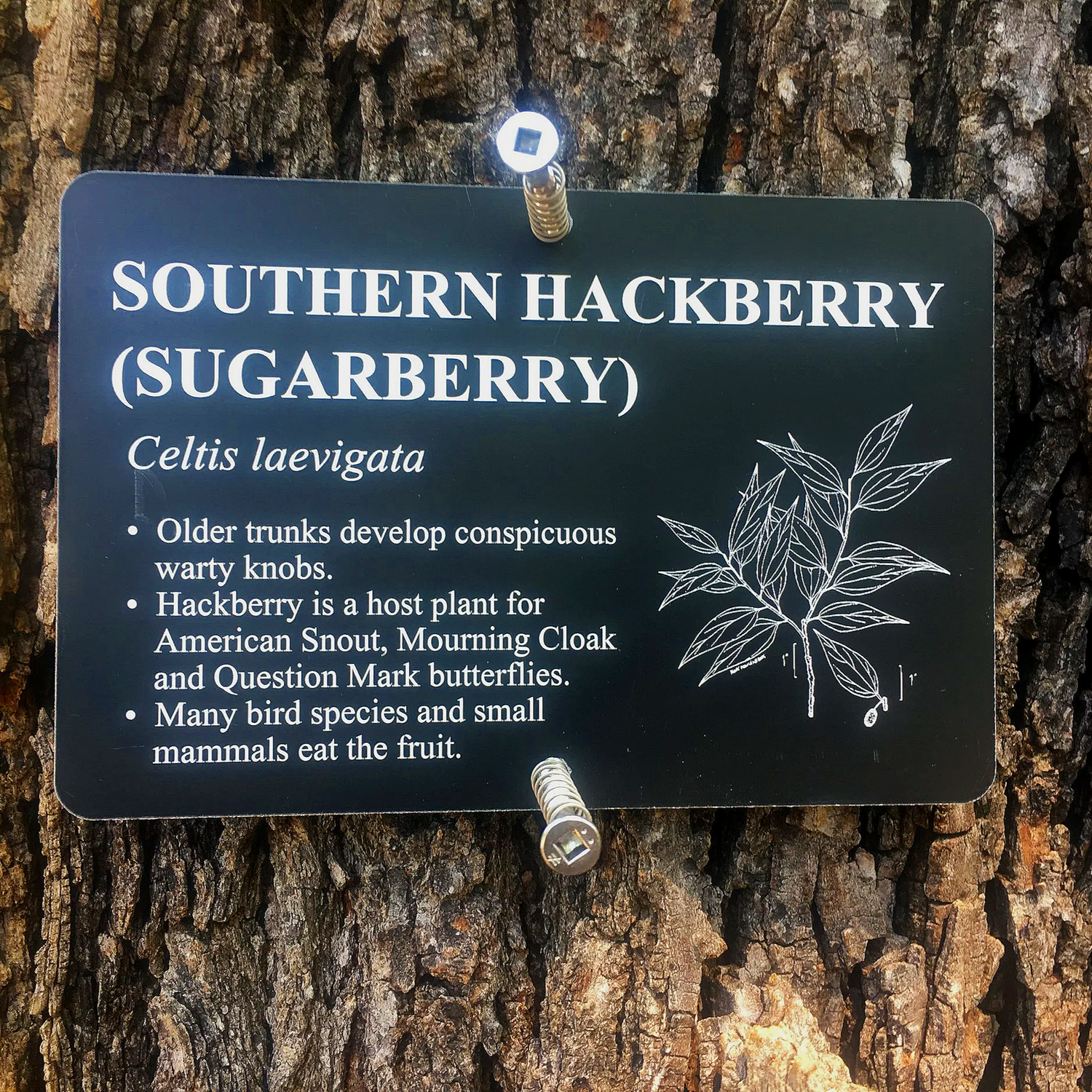 Custom Outdoor Educational Signs | Lark Signs
