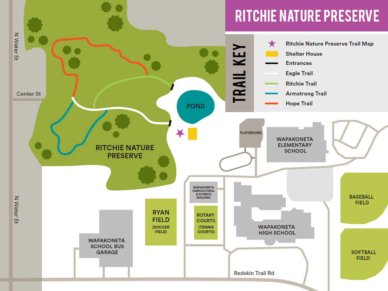 Screenshot 2026-02-12 113623.png