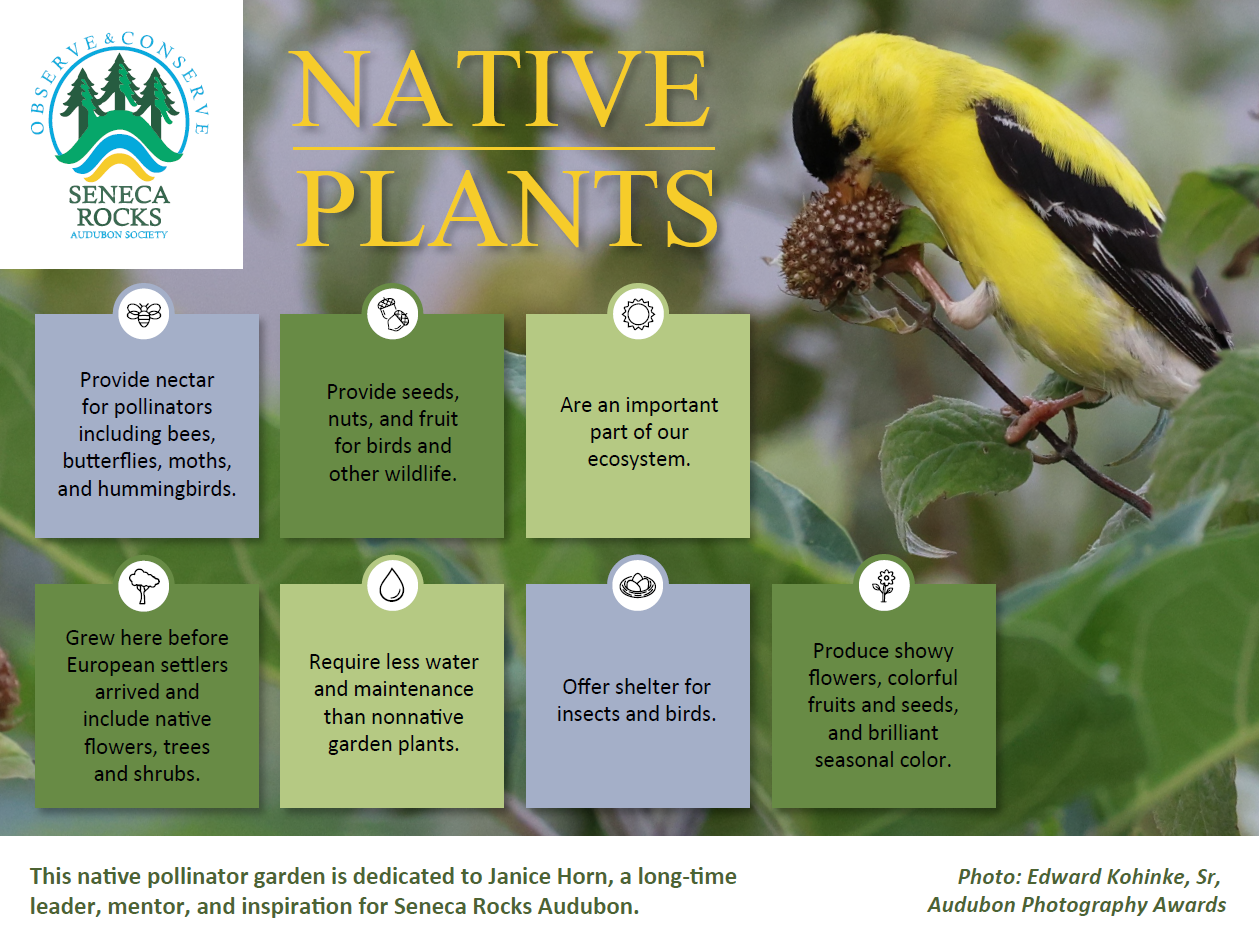 Screenshot 2026-02-12 113804.png