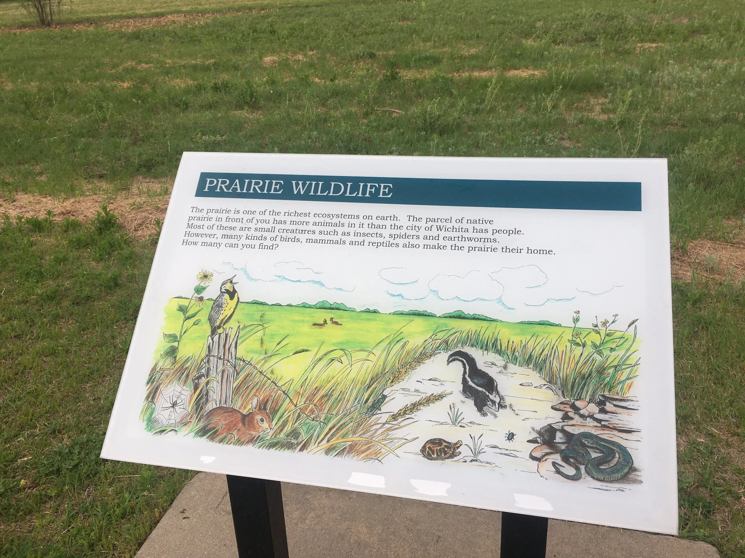 Great Plains NC 36x24 (301).JPG