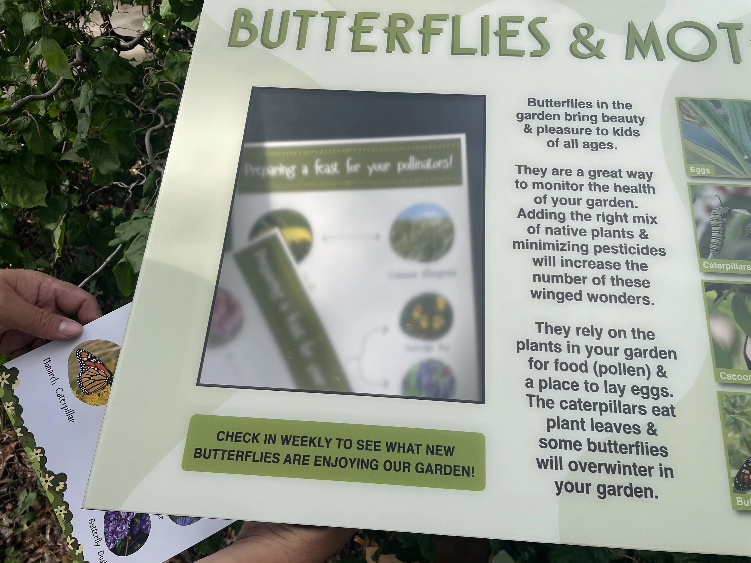 Flip-It 24x20 (18).JPG