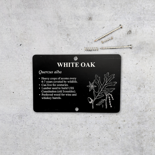Tree & Bench Markers | Custom Outdoor Dedication Plaques — Lark Signs