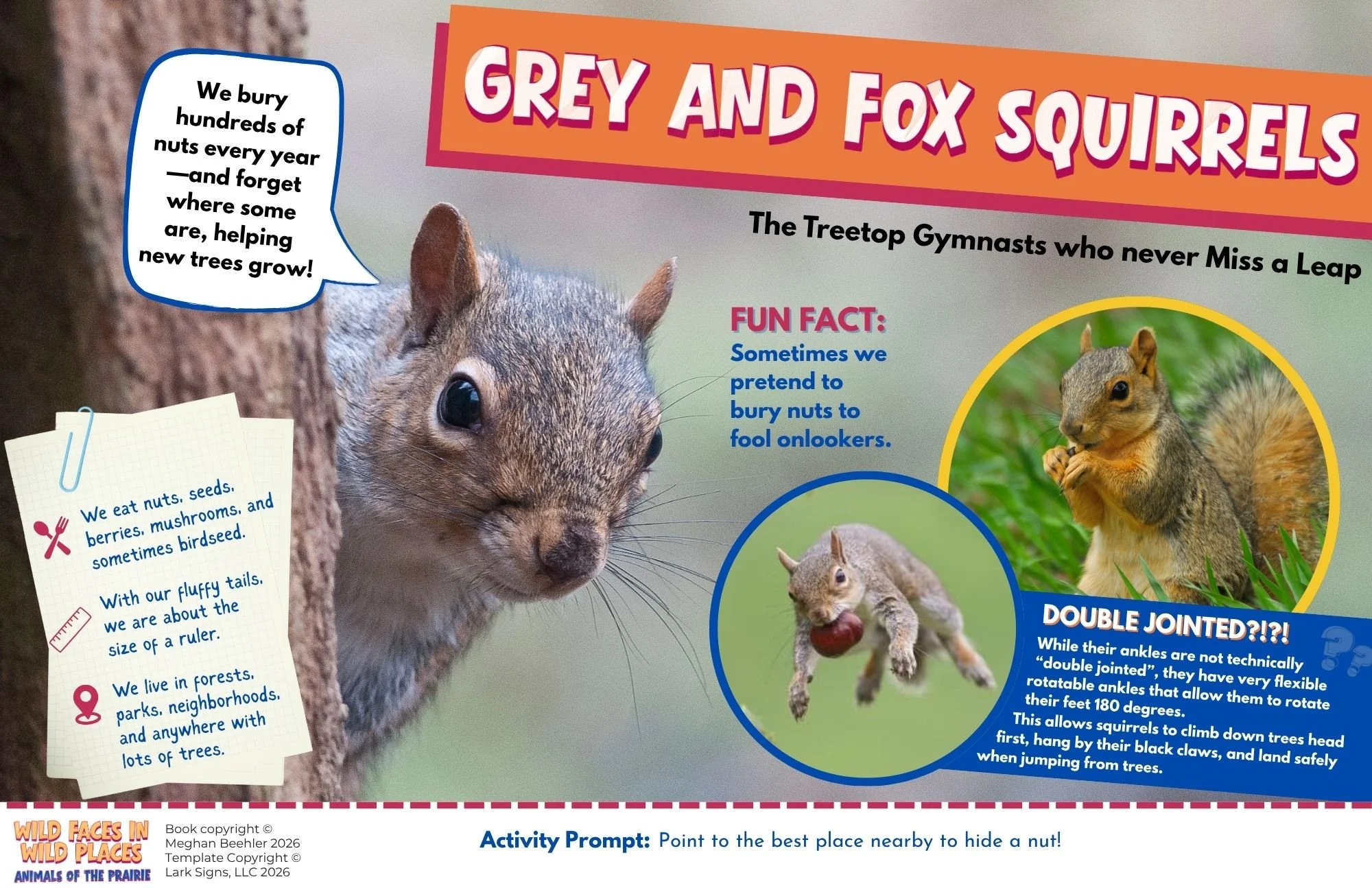 Midwest Animals Book (4).jpg