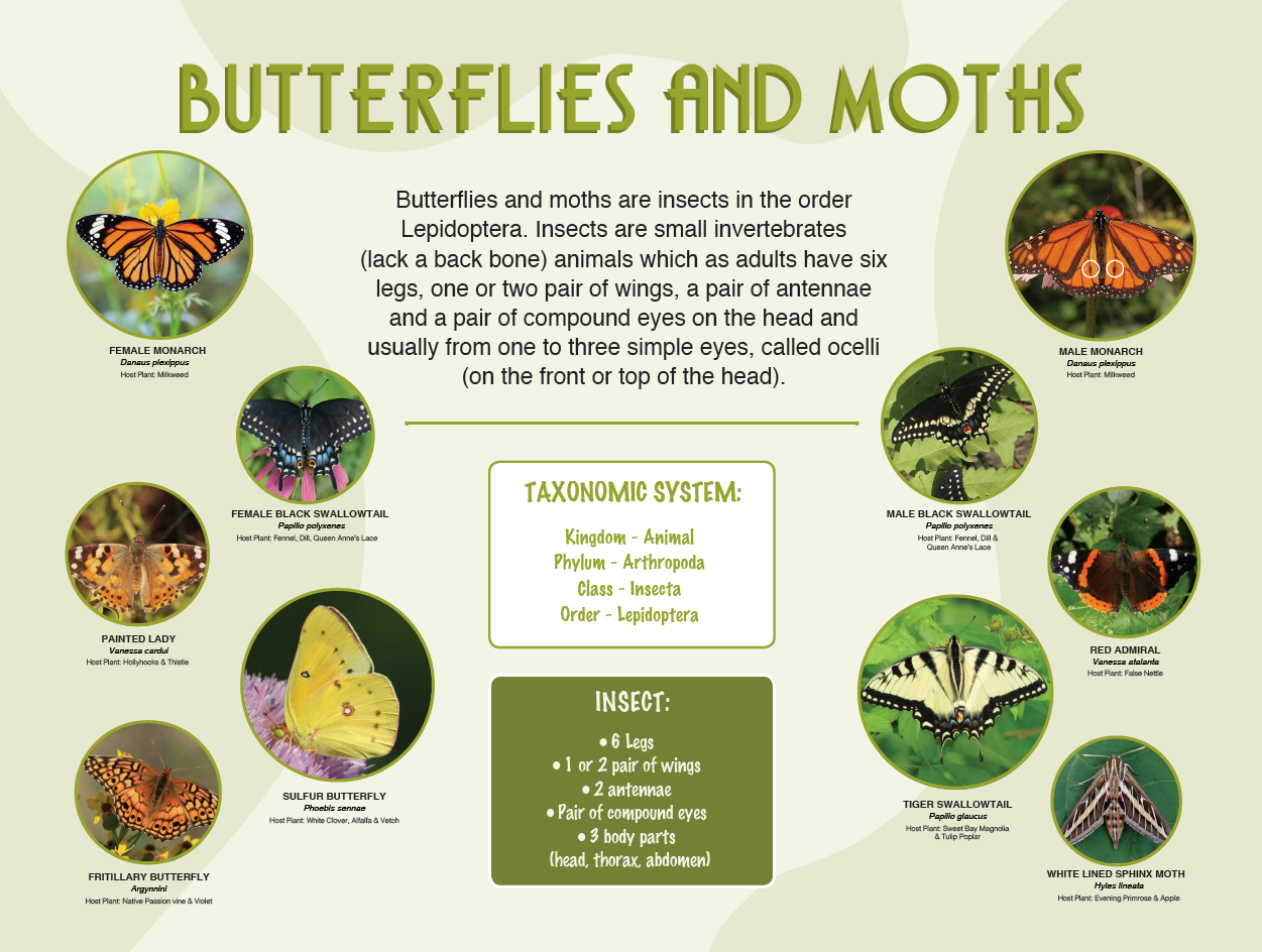 Screenshot 2026-02-12 113424.png