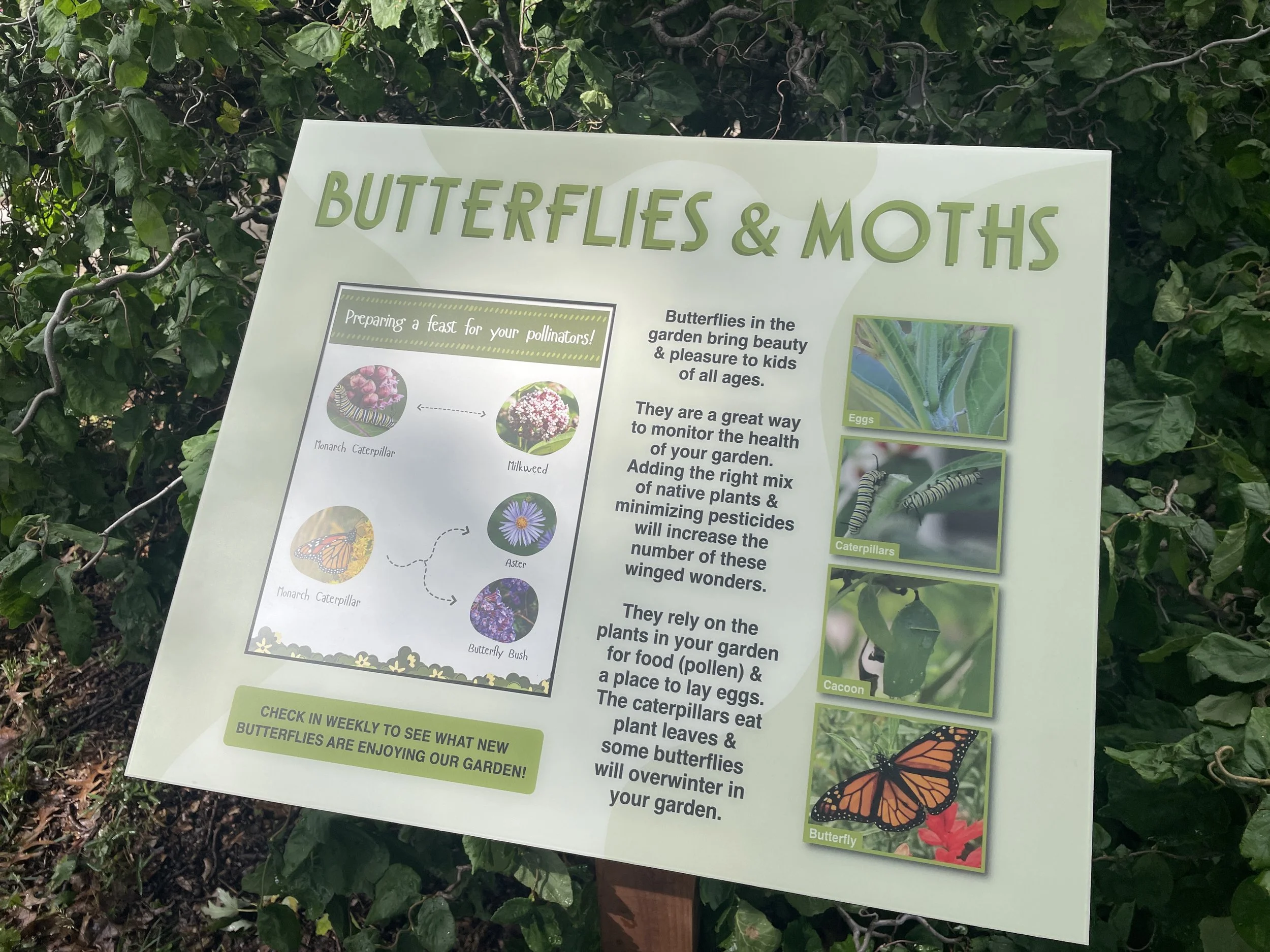 Flip-It 24x20 (4).JPG