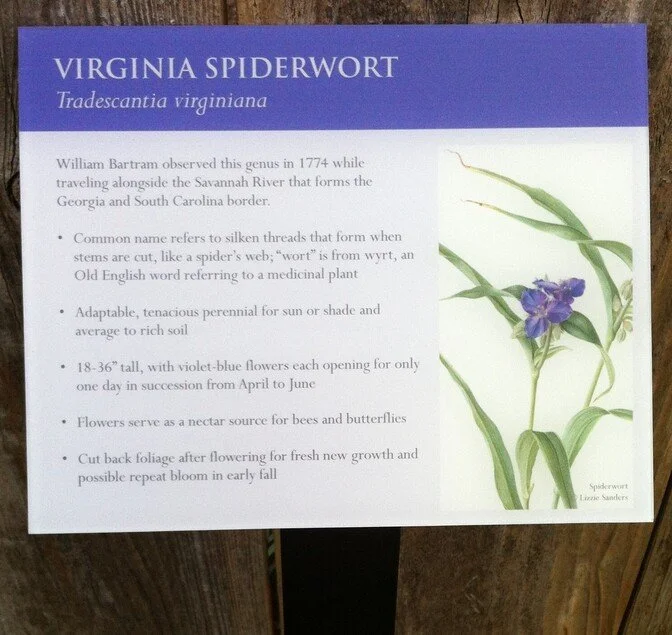 Plant Signs for Botanical Gardens & Public Landscapes — Lark Signs