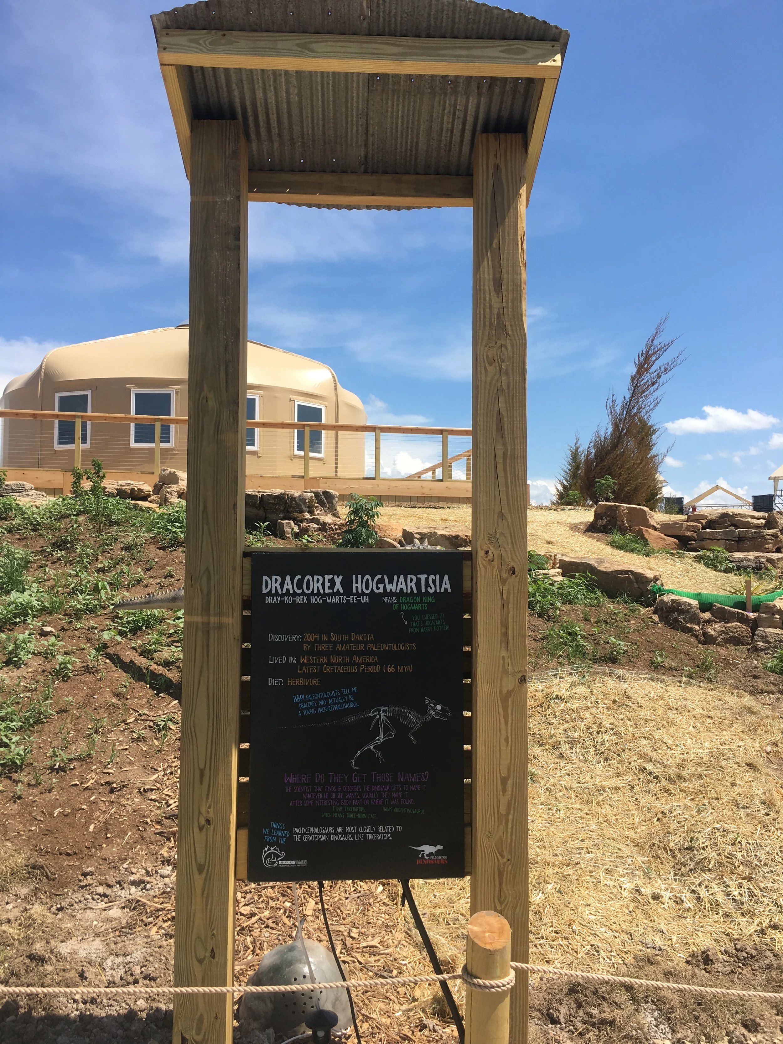 Field Station Dinosaur Park 24x36 (8).JPG