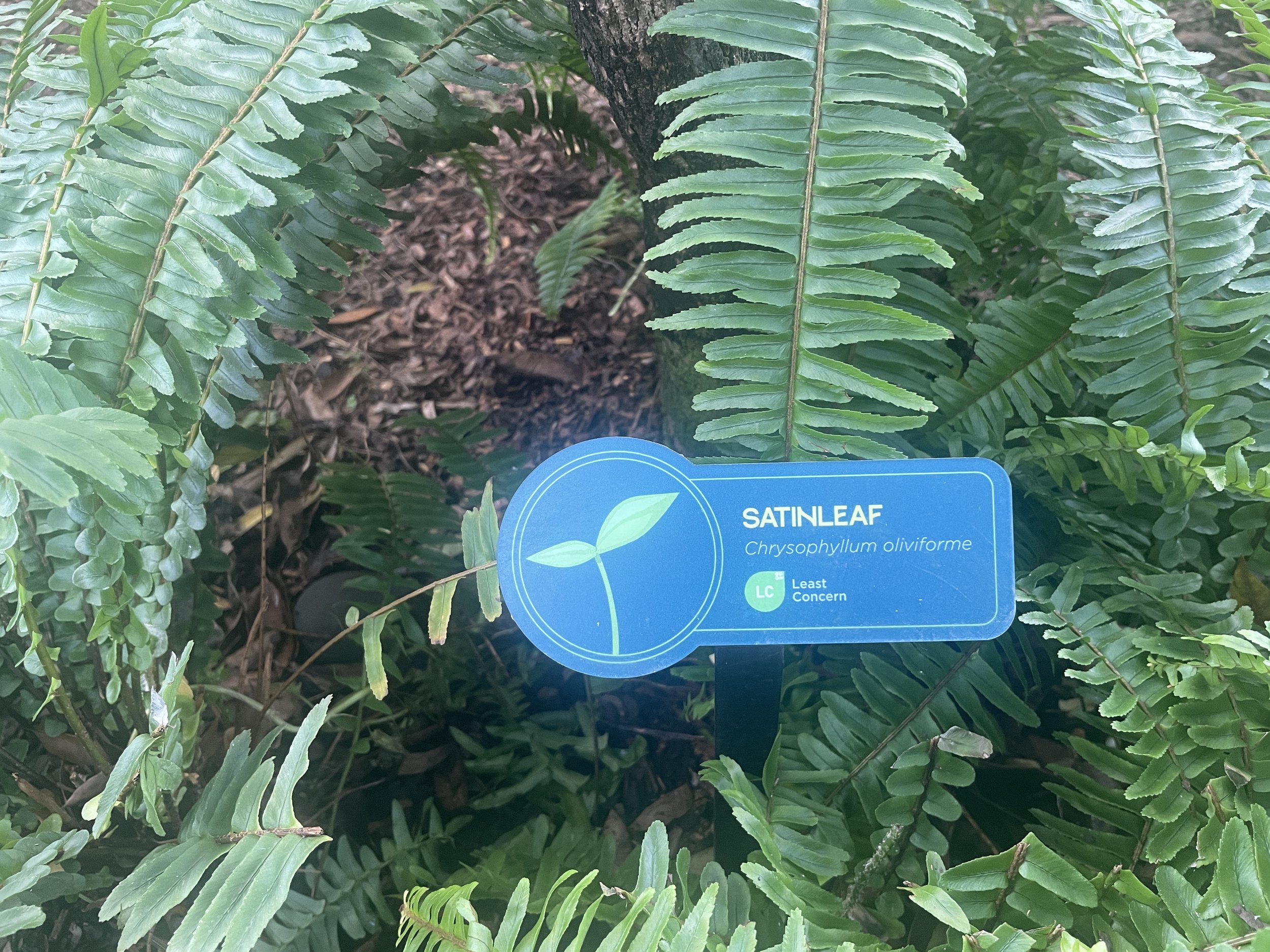 The Florida Aquarium (4).JPG