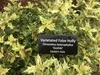 Botanical Garden Signs | Custom Plant Identification Signs — Lark Signs
