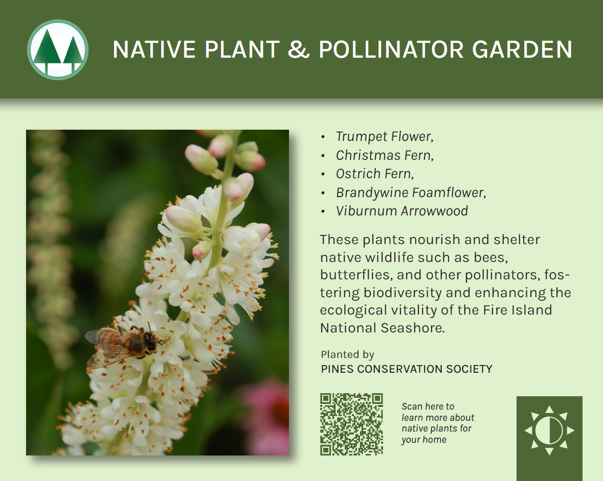 Screenshot 2026-02-12 113010.png