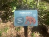 Botanical Garden Signs | Custom Plant Identification Signs — Lark Signs