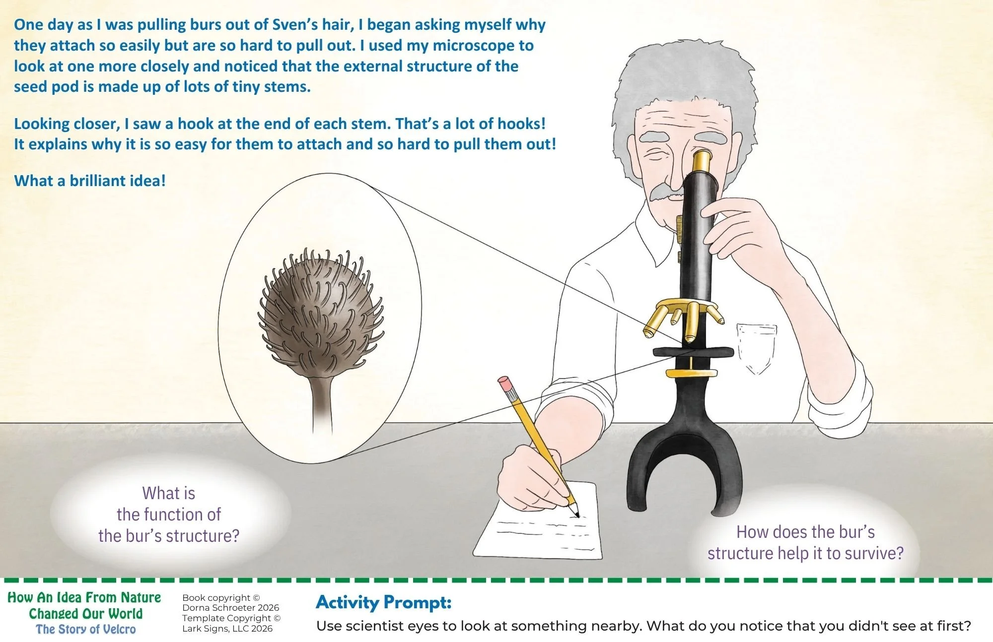 How An Idea From Nature - Velcro (2).jpg