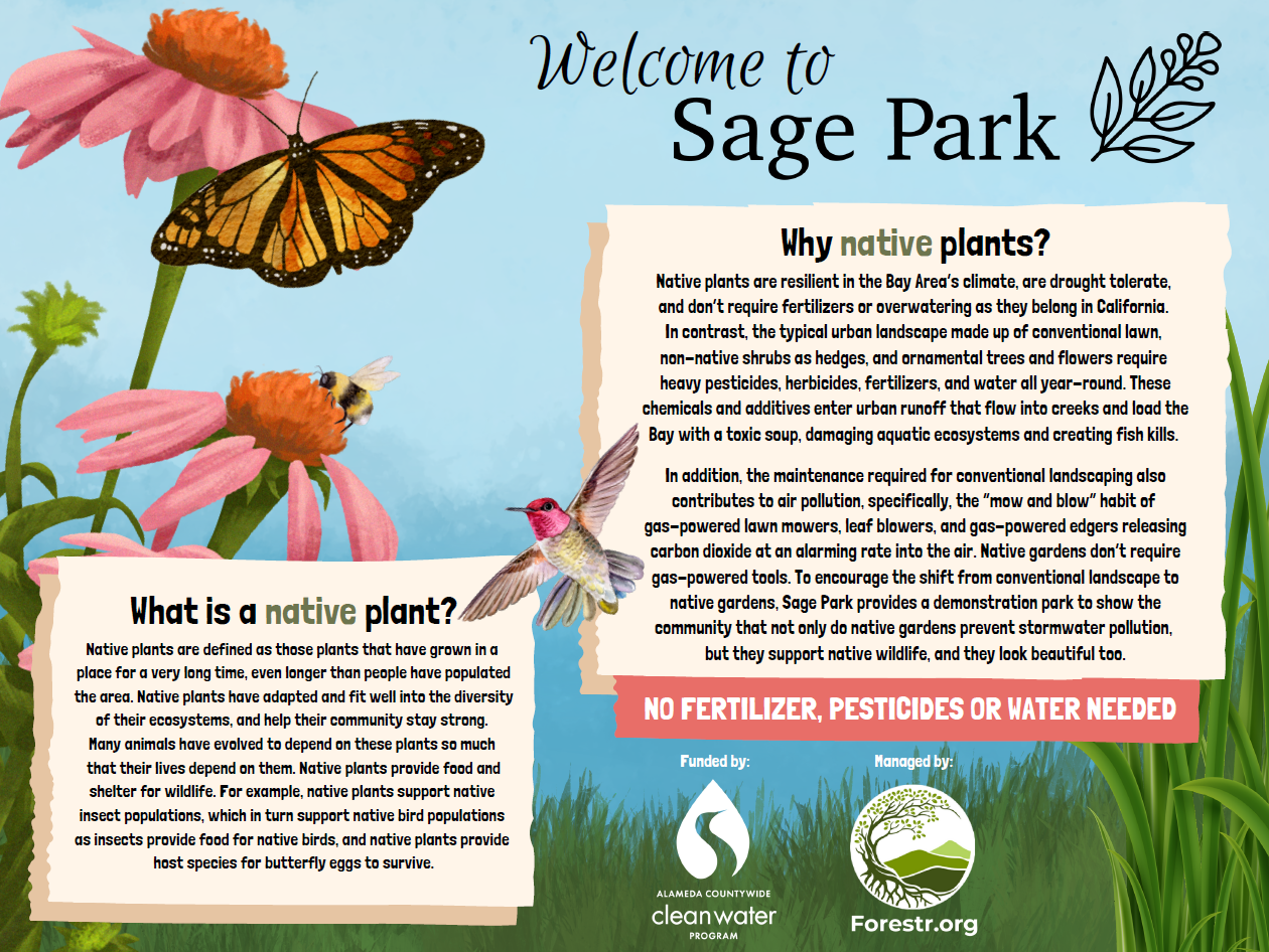 Screenshot 2026-02-12 112810.png