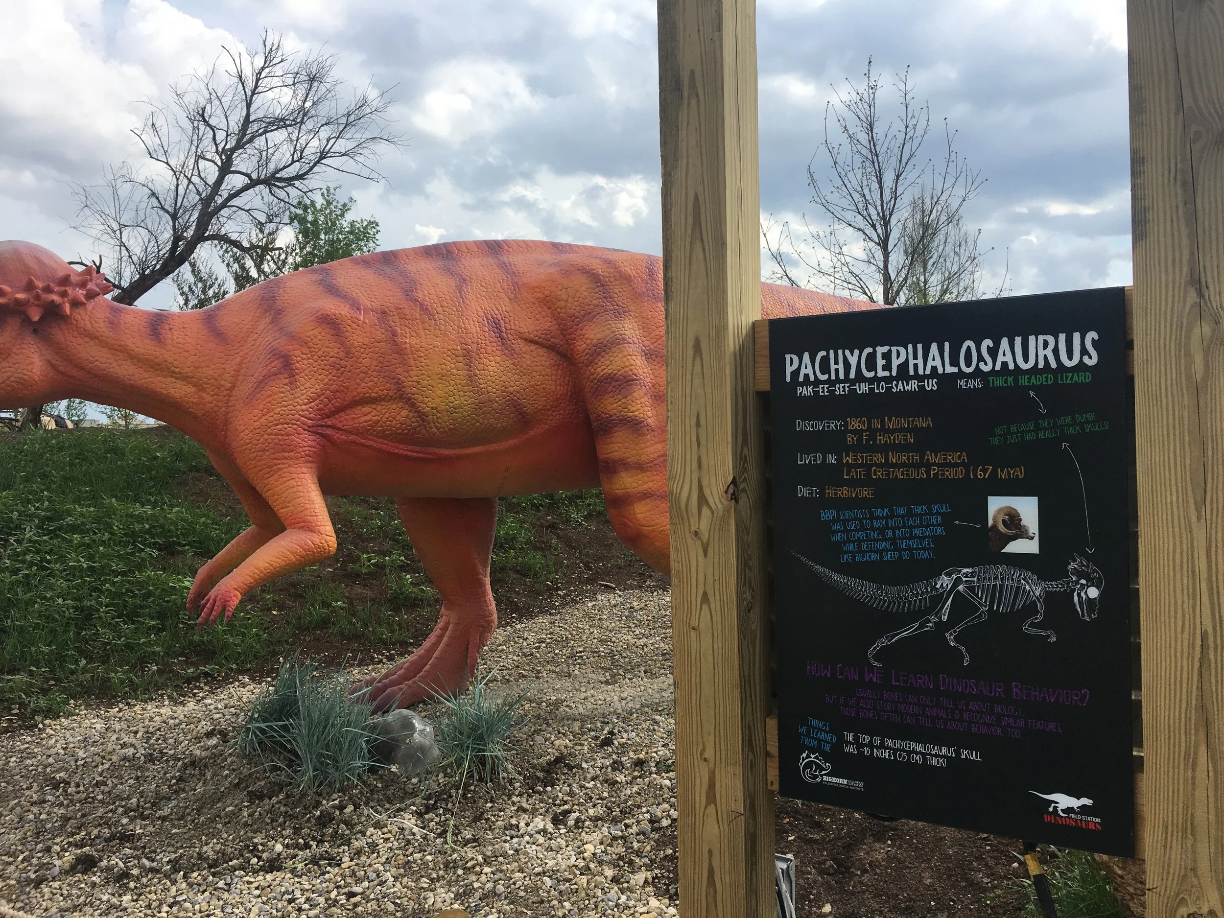 Field Station Dinosaur Park 24x36 (20).JPG