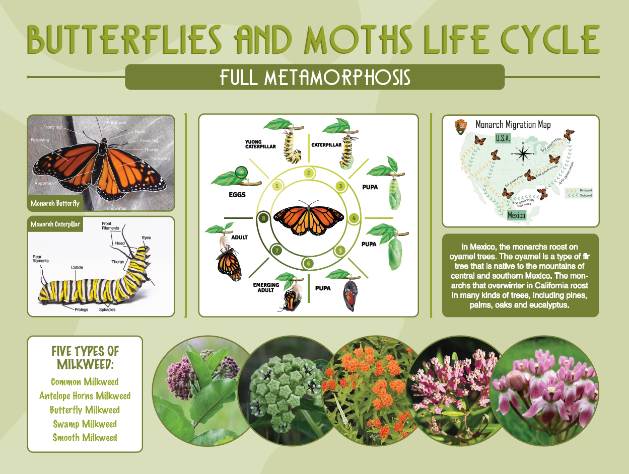 Screenshot 2026-02-12 112956.png