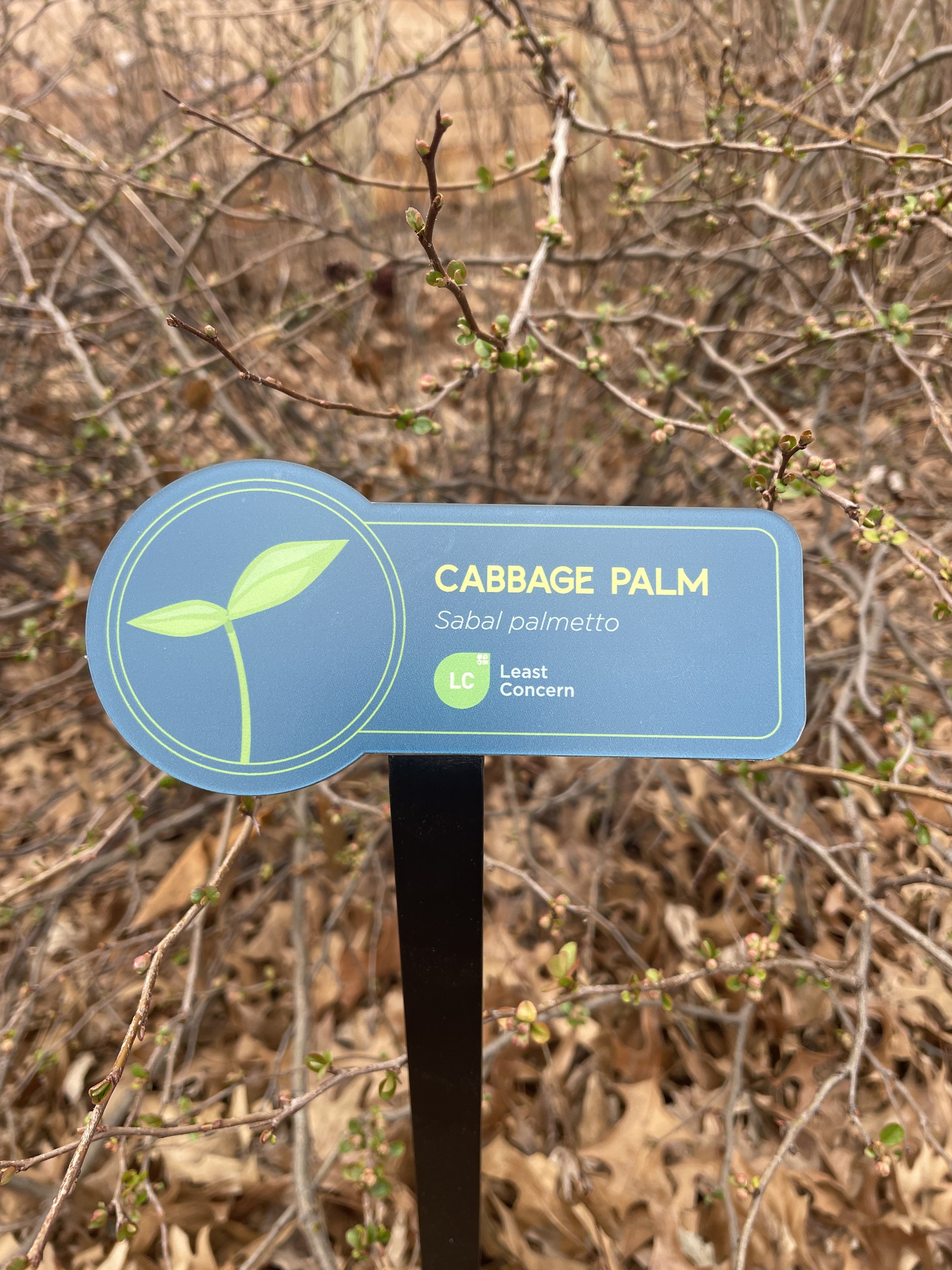 Florida Aquarium (2).JPG