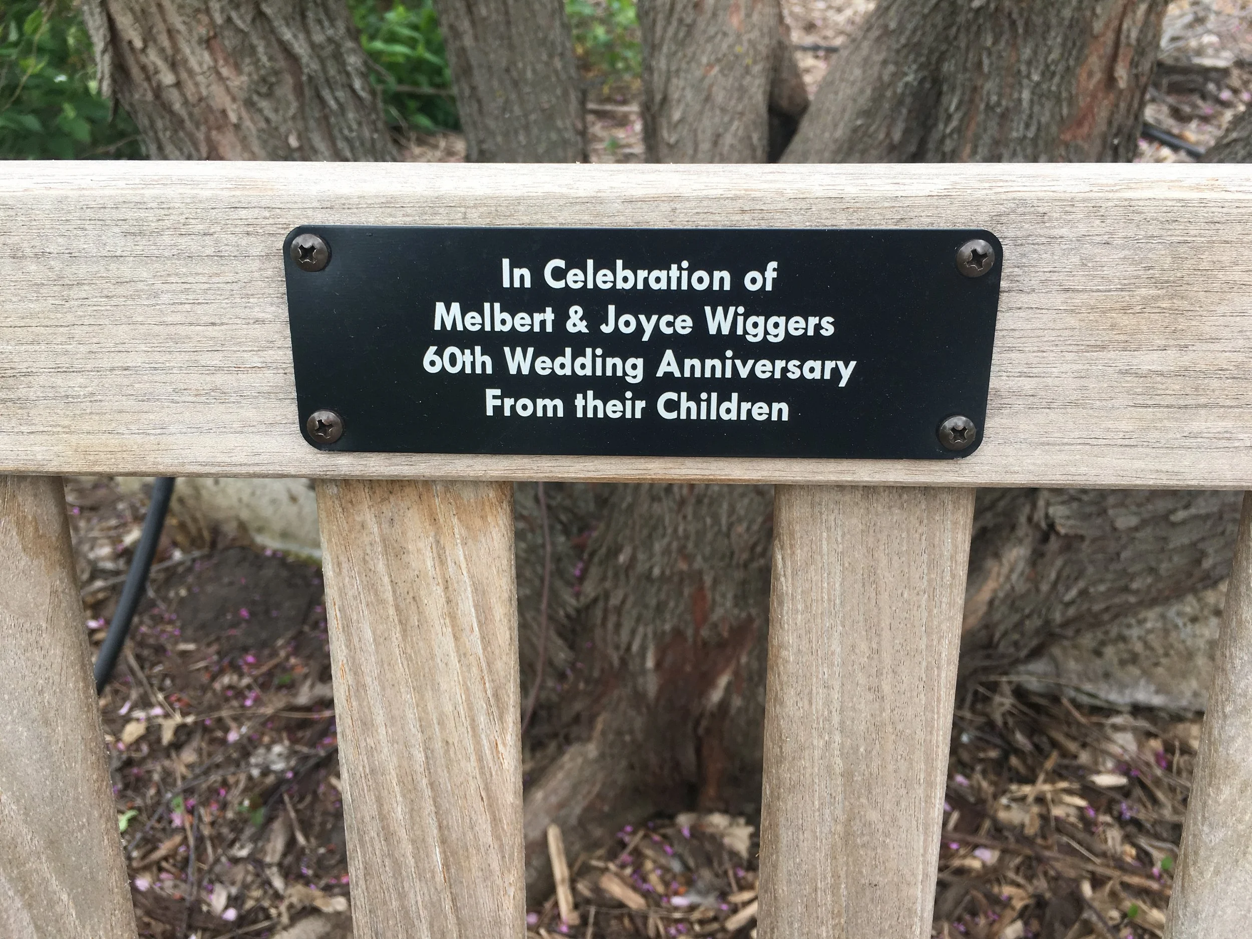 Tree & Bench Markers | Custom Outdoor Dedication Plaques — Lark Signs