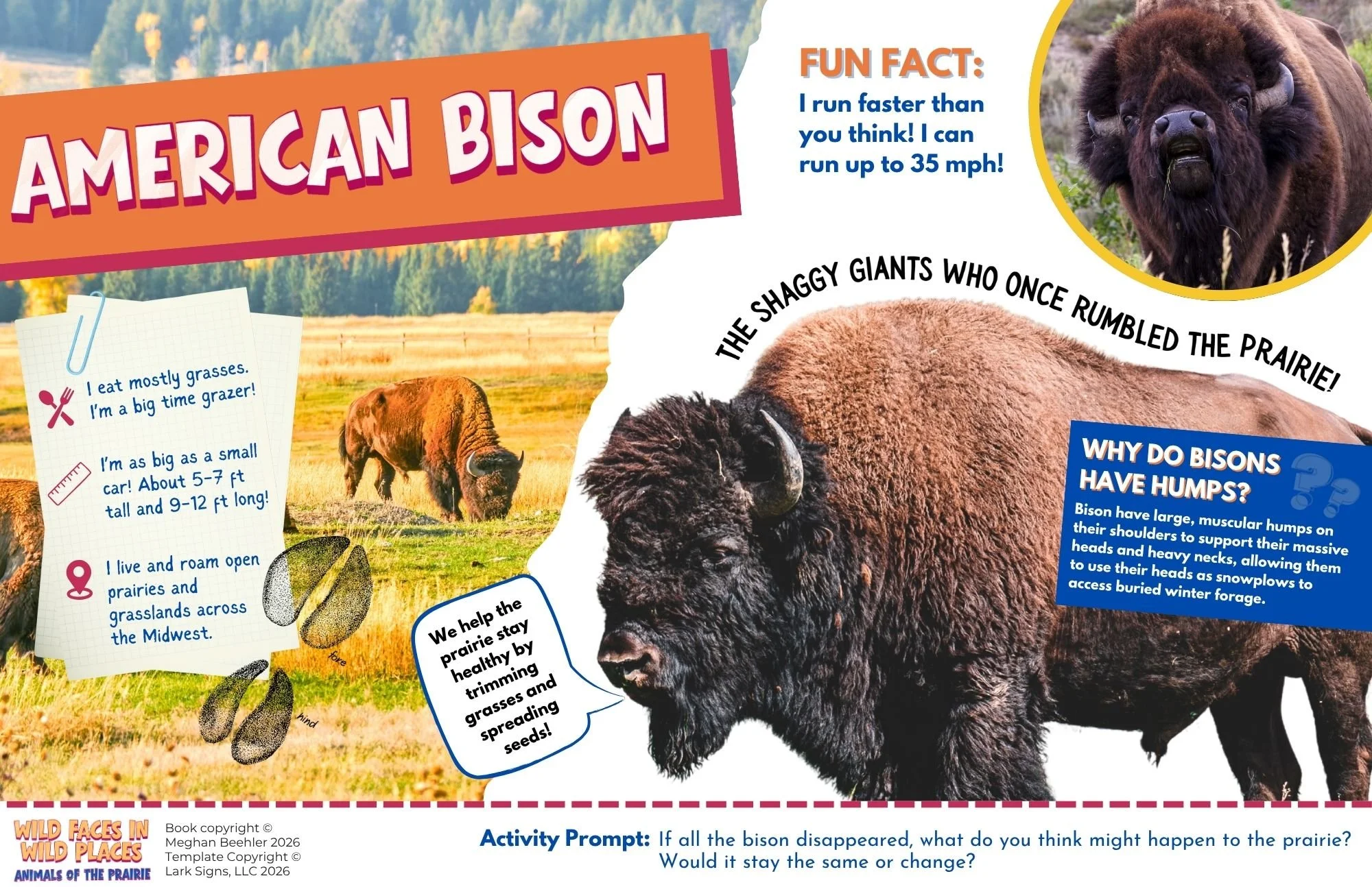 Midwest Animals Book (1).jpg