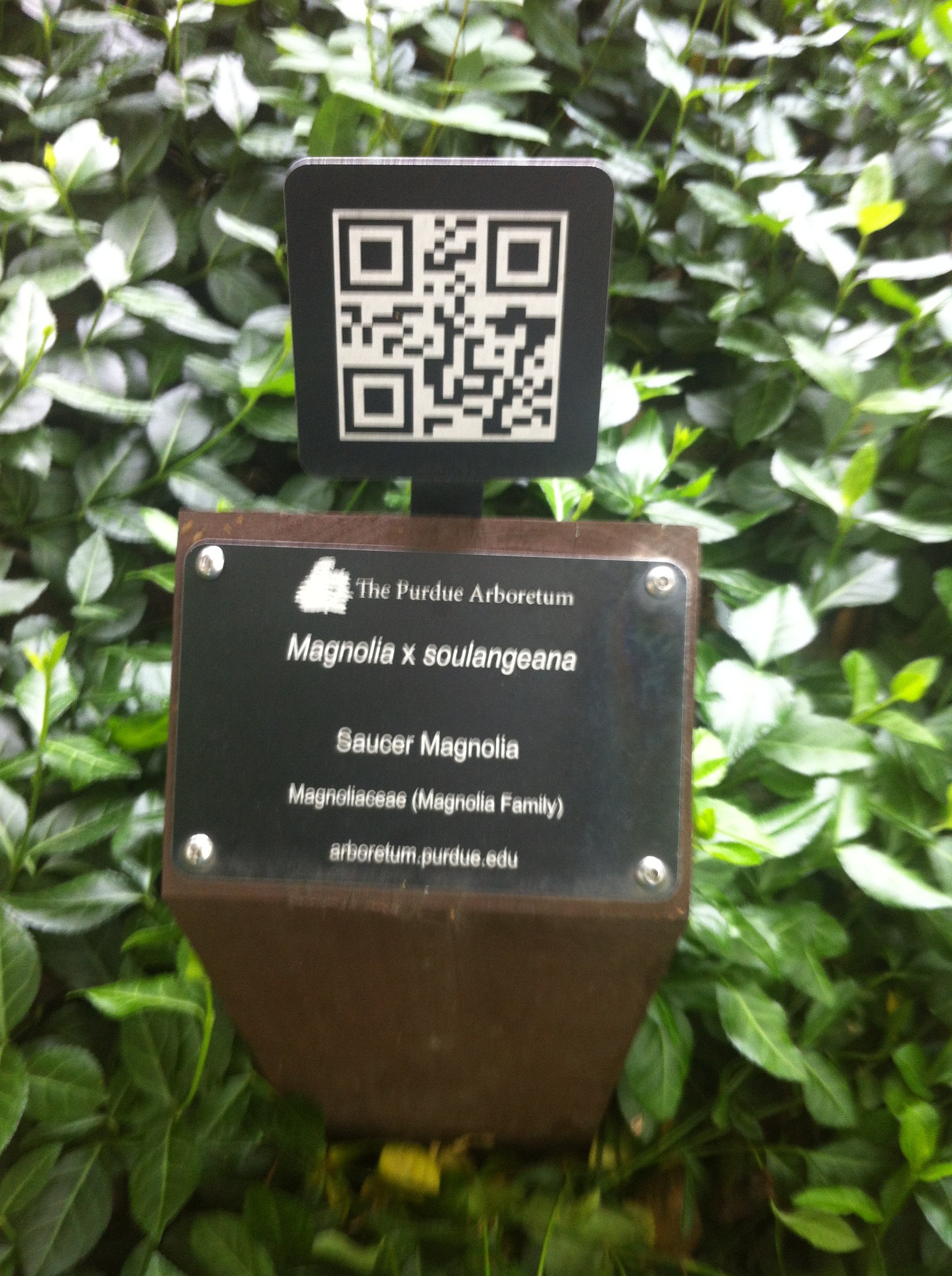 Purdue Post Marker (20).JPG