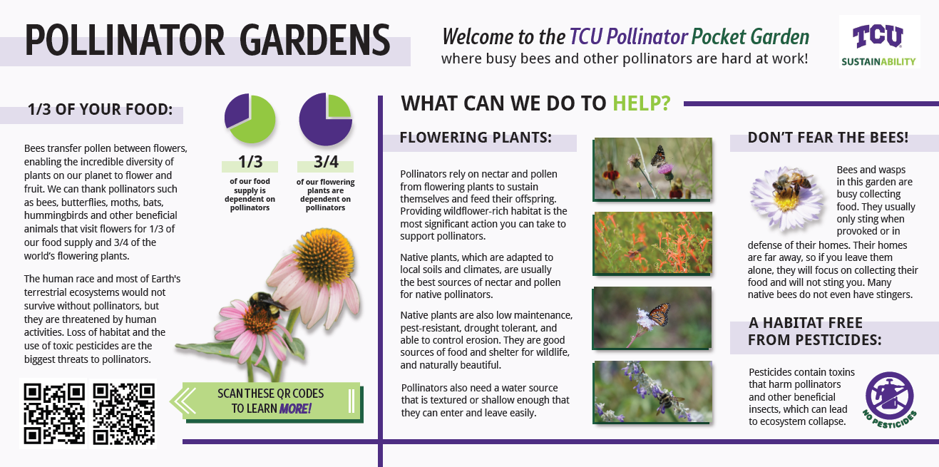 Screenshot 2026-02-12 113747.png