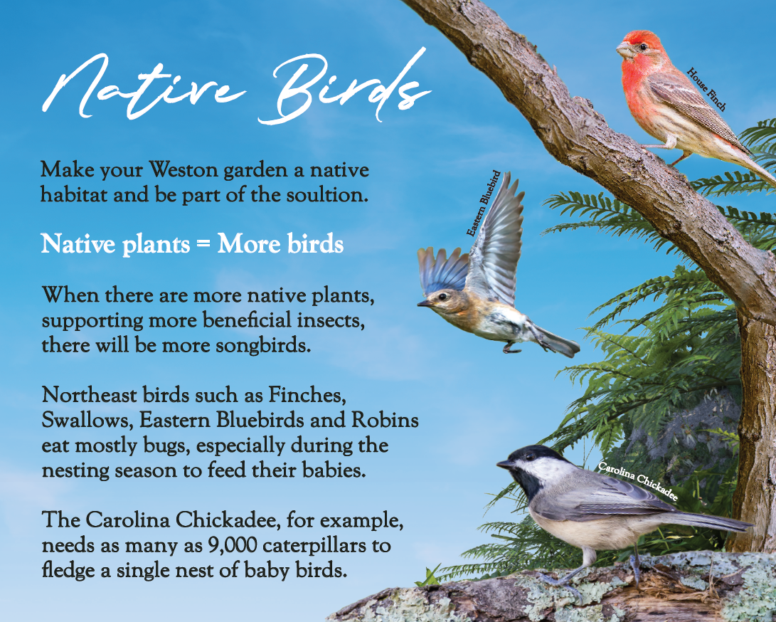 Screenshot 2026-02-12 112902.png