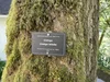 Arboretum Signs and Tree Labels | Plant ID Signs — Lark Signs