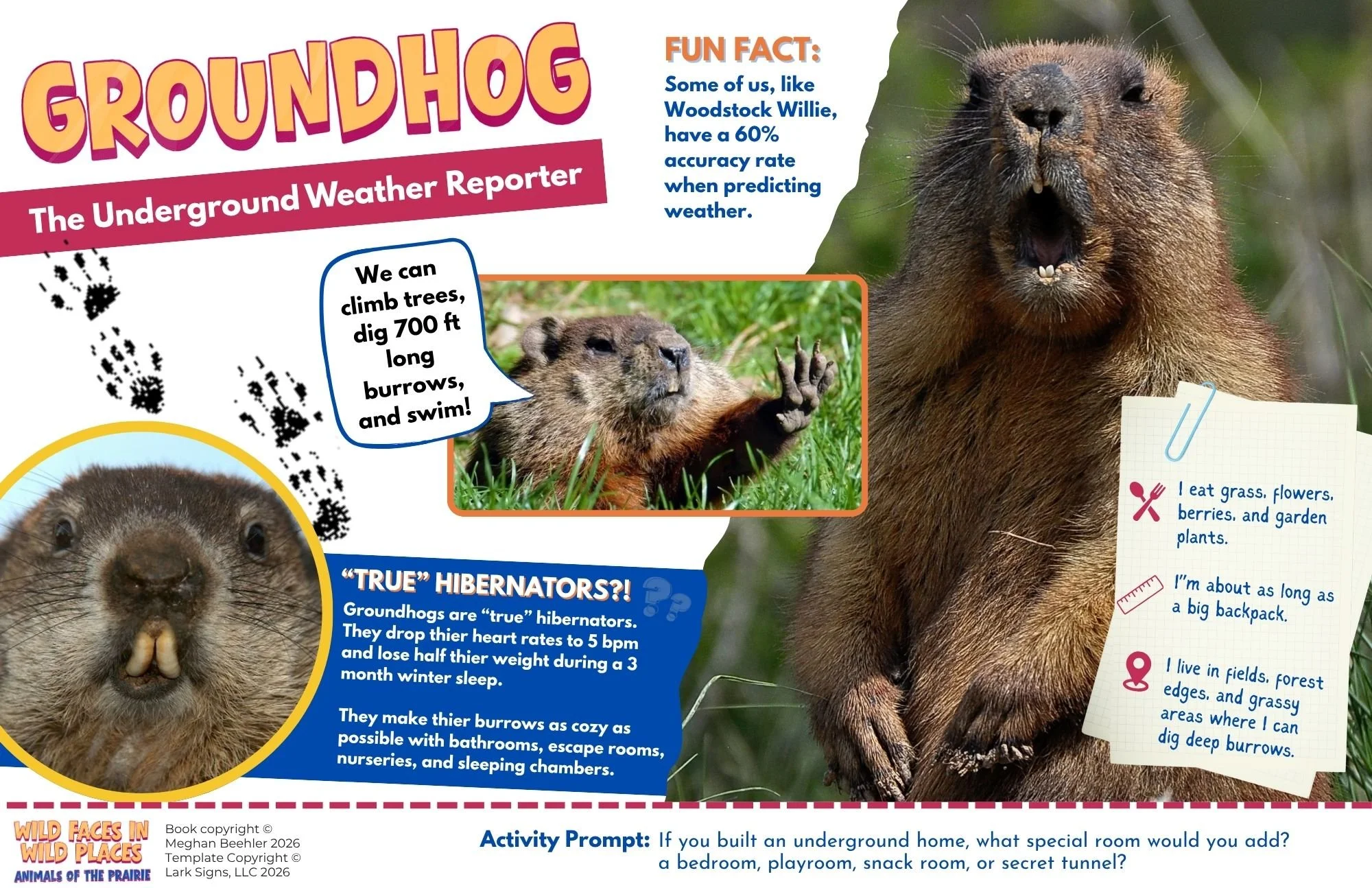 Midwest Animals Book (3).jpg (Copy)
