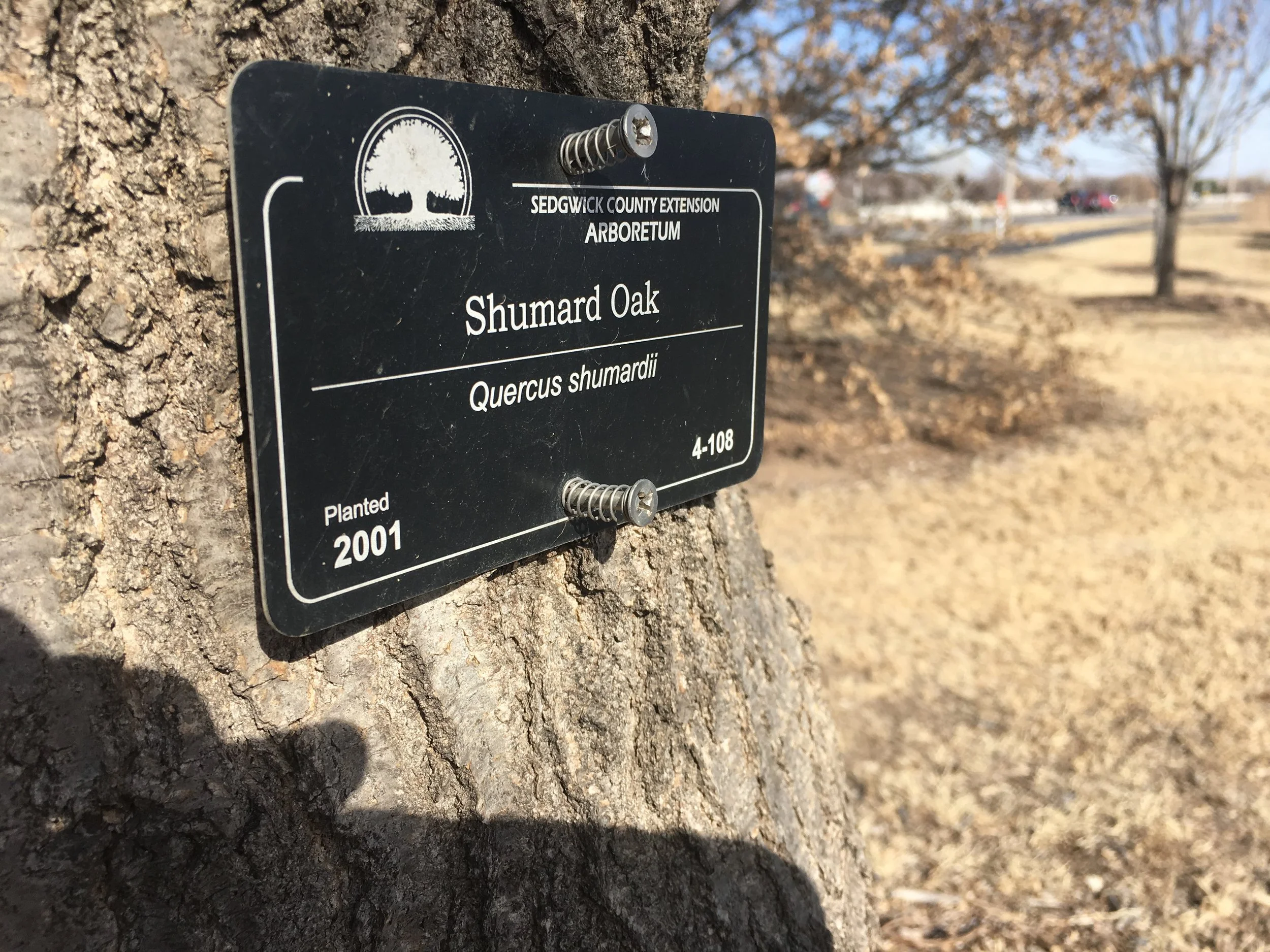 Sedgwick County Ext 5x3 (5).JPG