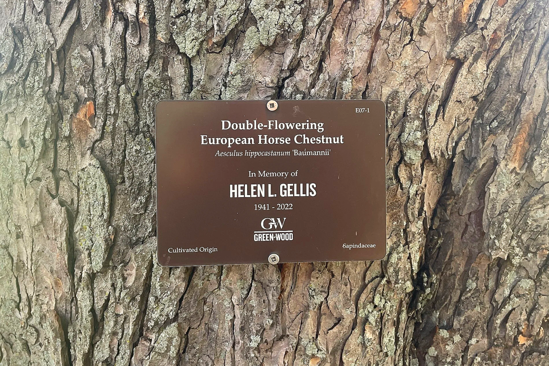 Tree & Bench Markers | Custom Outdoor Dedication Plaques — Lark Signs