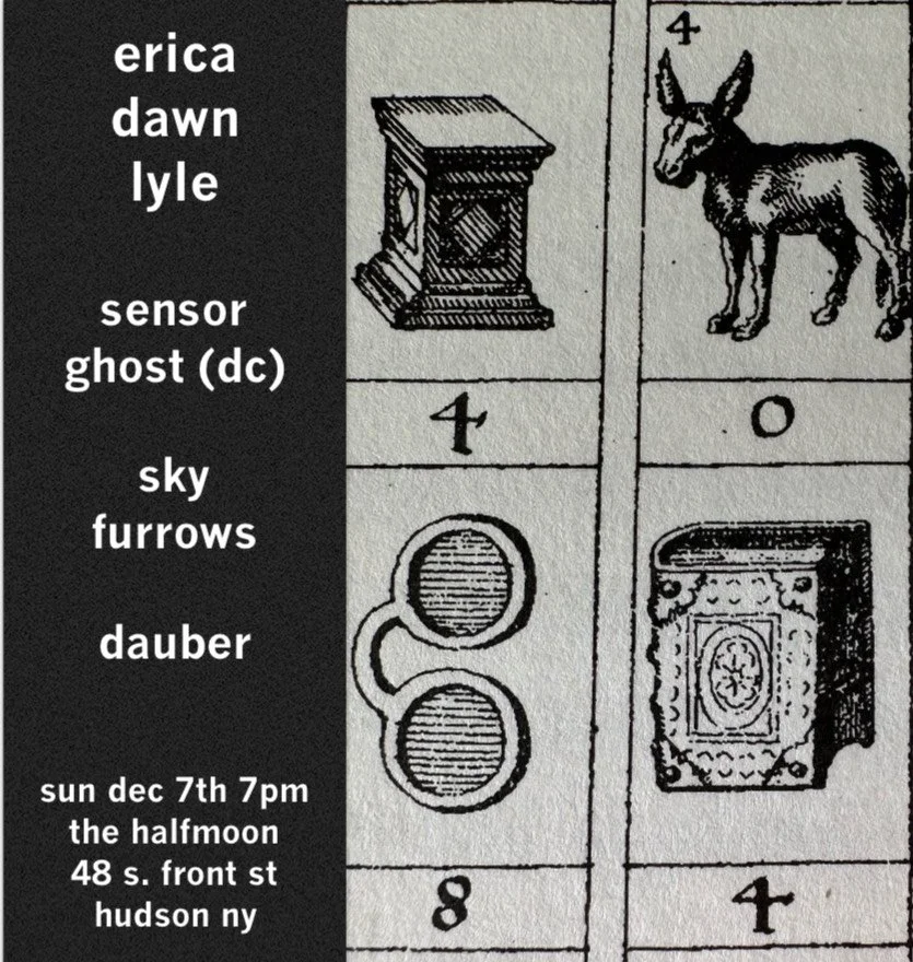 Erica Dawn Lyle /Sensor Ghost /Sky Furrows