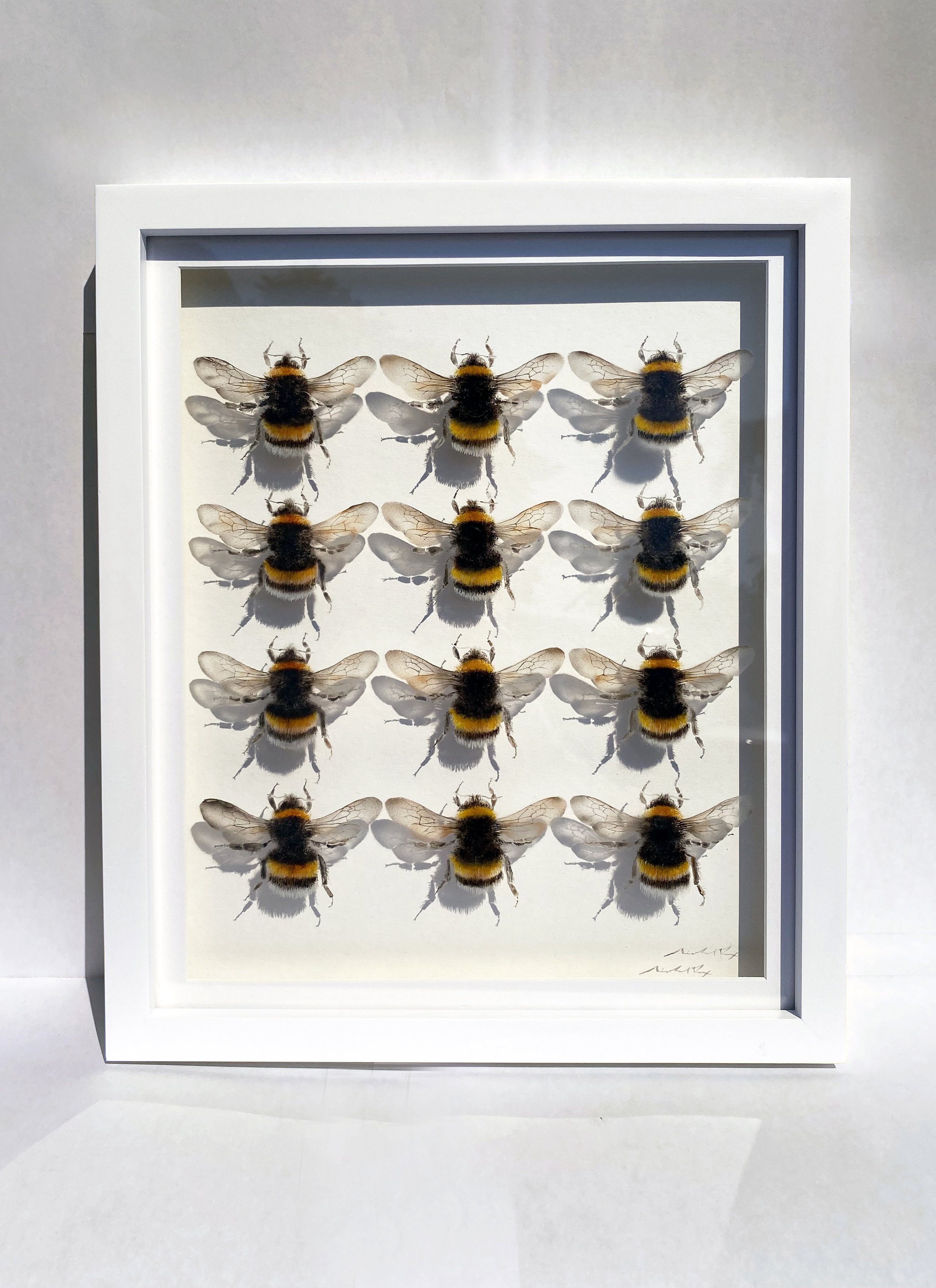 '12 Queen Bees' by Michael Dix