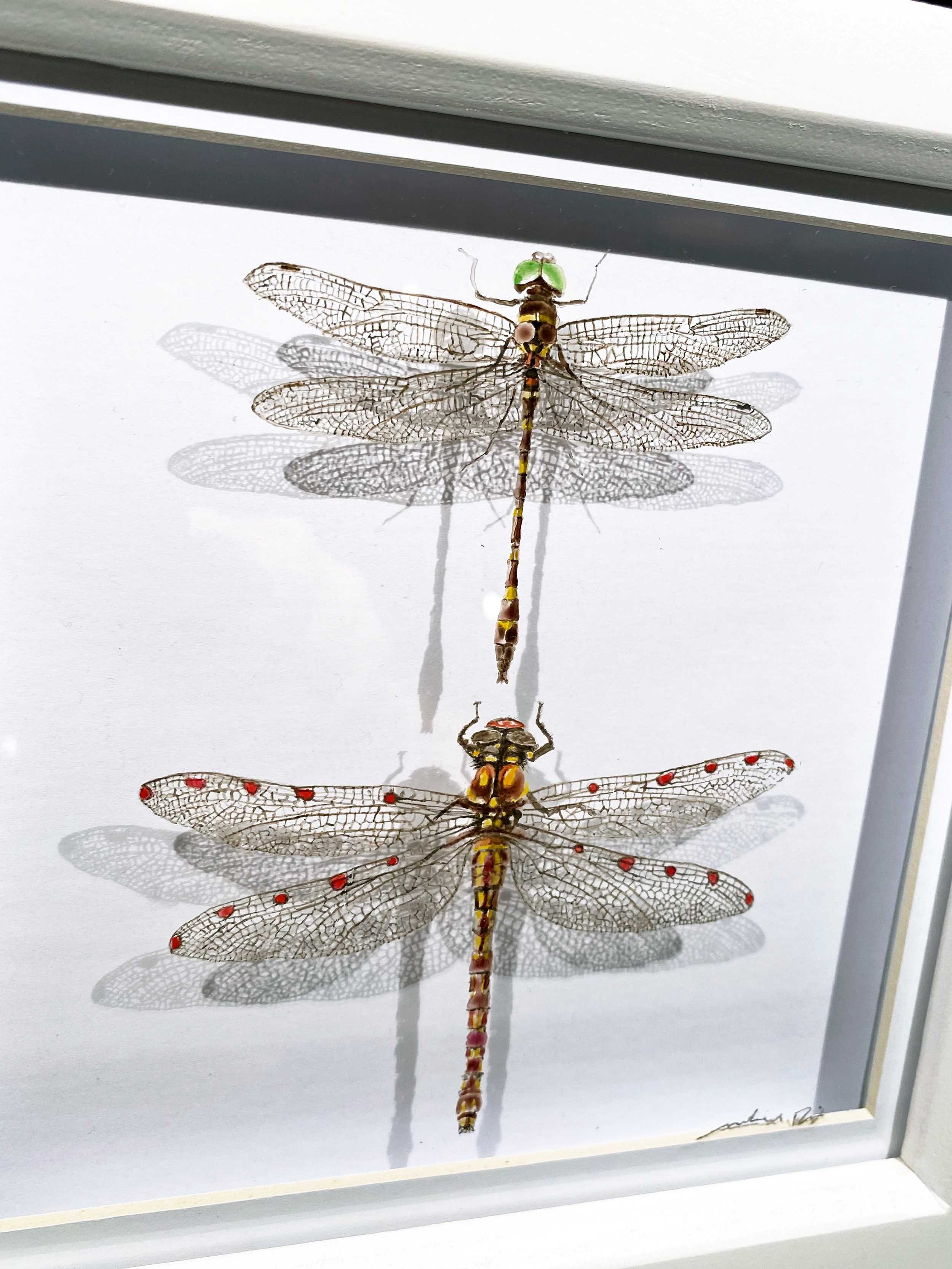 Michael Dix Glass Dragonflies