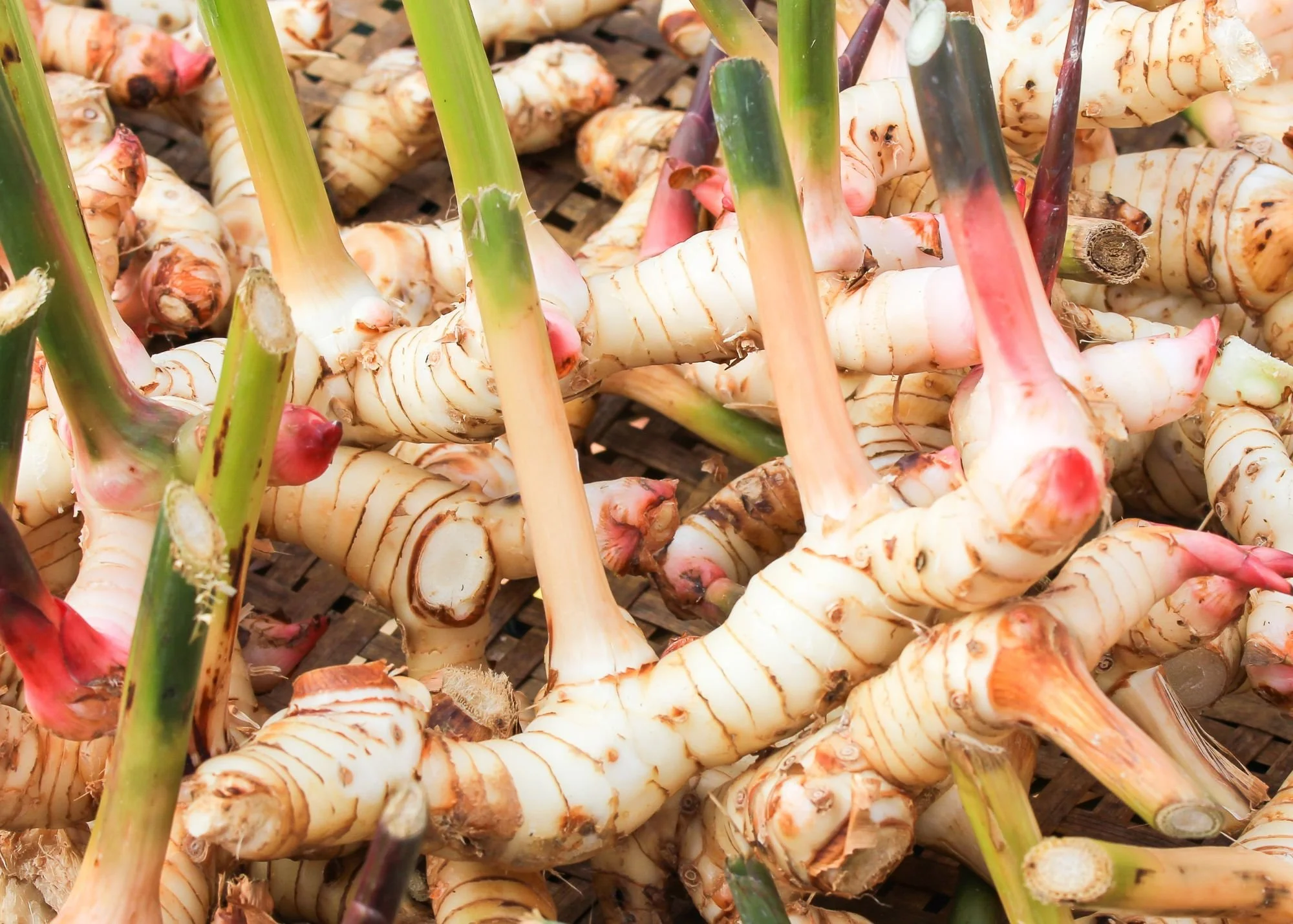 enXtra Caffeine Free Energy Supplements by OmniActive enXtra Caffeine Free Energy Supplements by OmniActive