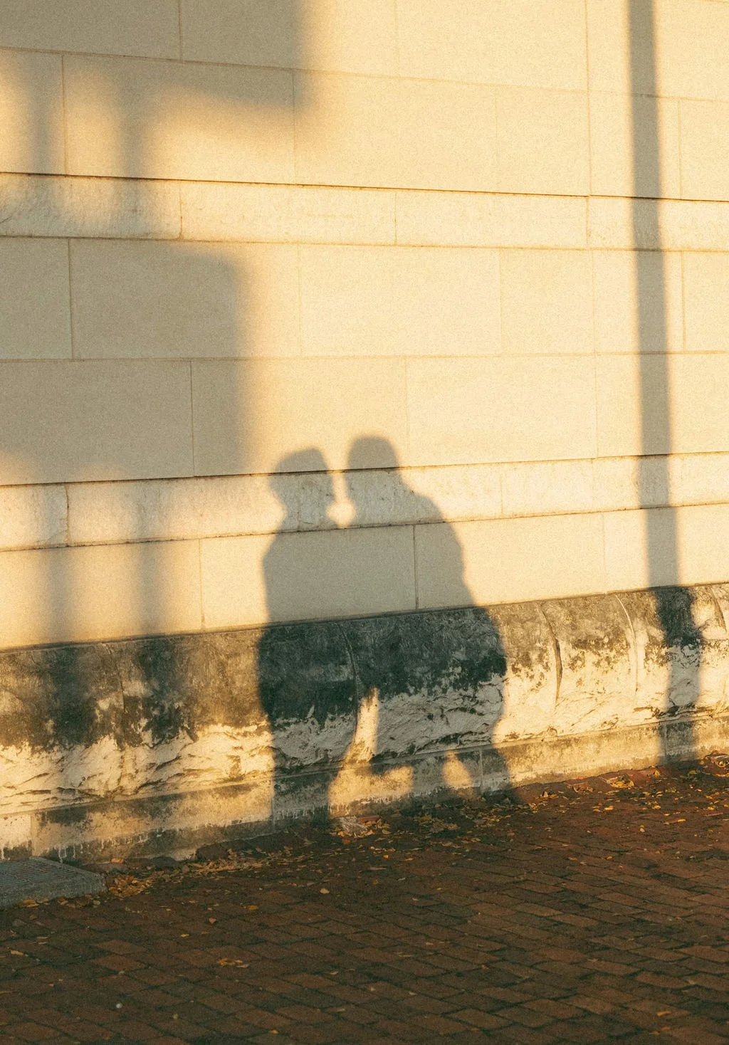 San Antonio Museum of Art engagement photos-61.jpg