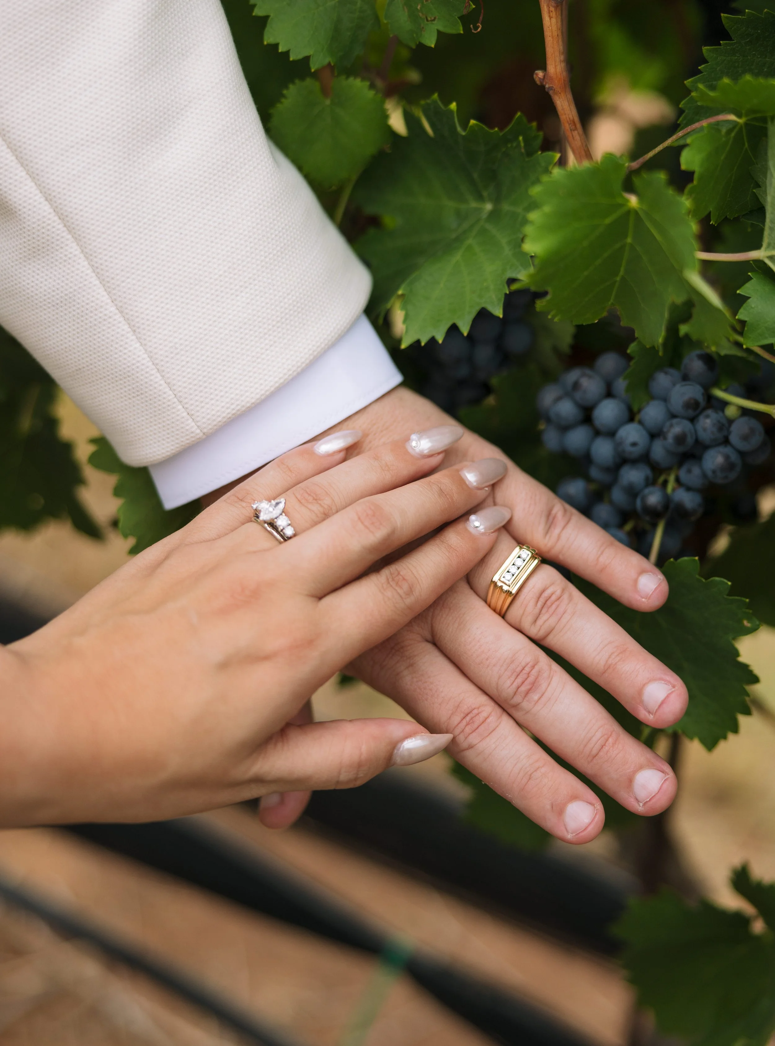 Cynthia+Derek-220.jpg