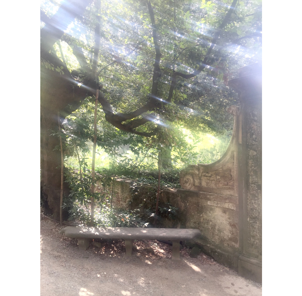 "Boboli" color photograph, approximately 5" x 7", matted and framed to 13" x 13"  - $80 at gallery only. SOLD
