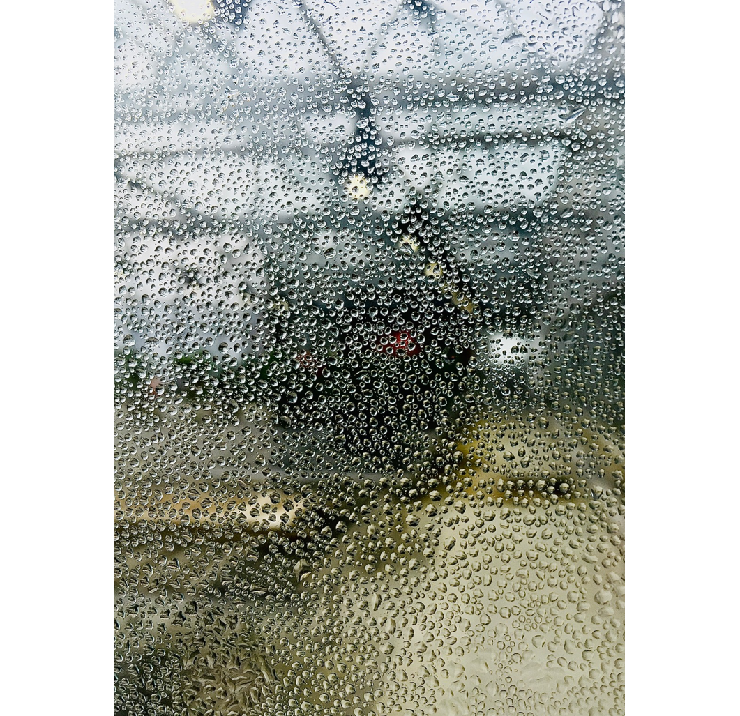 "Greenhouse" color photograph, approximately 5" x 7", matted and framed to 13" x 13"  - $80 at gallery only. SOLD