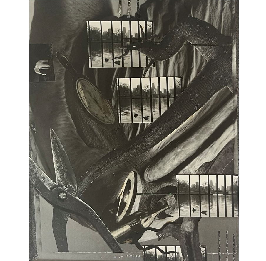 "Chicago" Black and white photo collage. Matted and framed 8" x 10" NFS