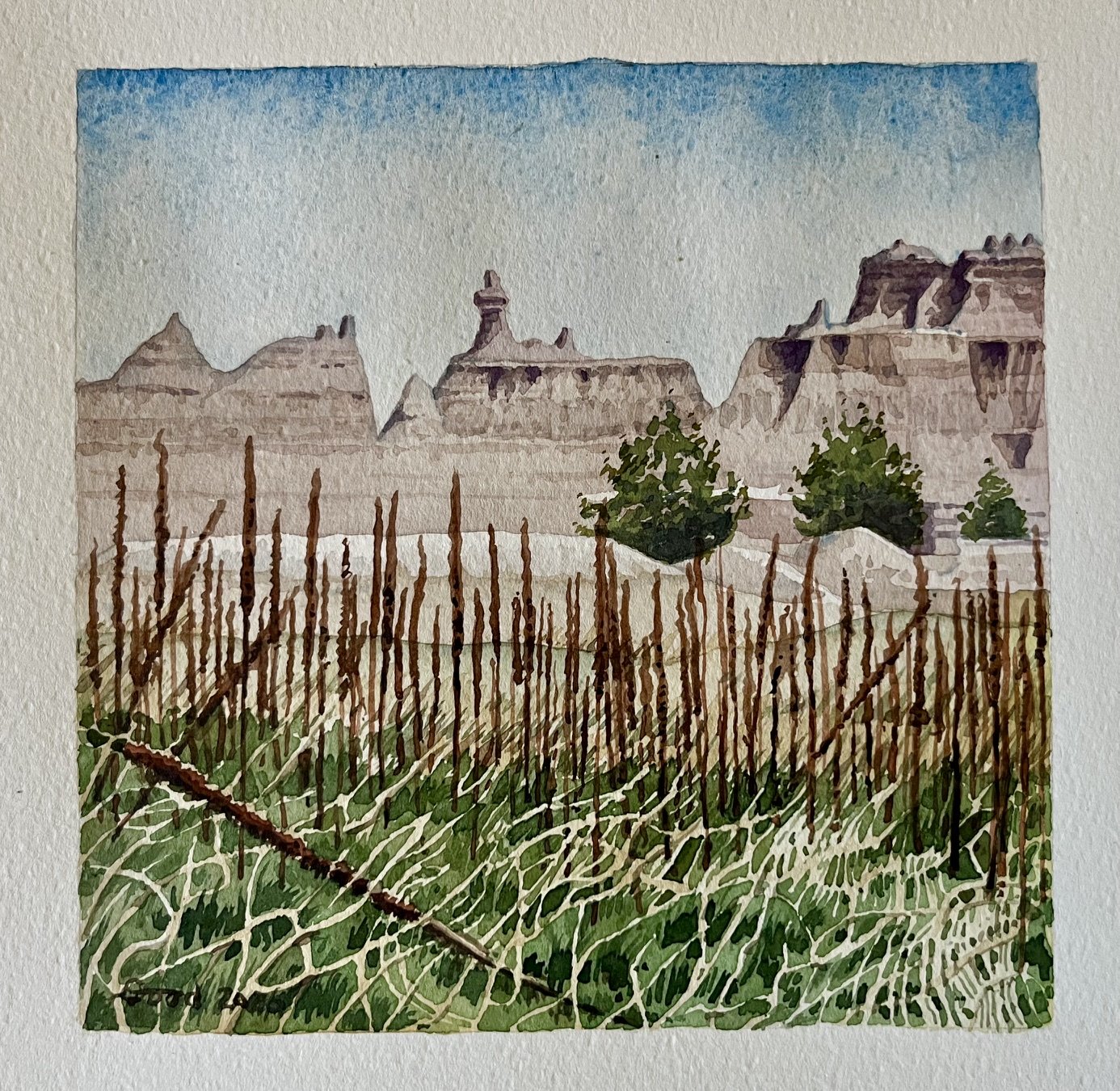 "Badlands Weeds"
6" x 6" transparent watercolor. Matted and framed, $200 at gallery only.