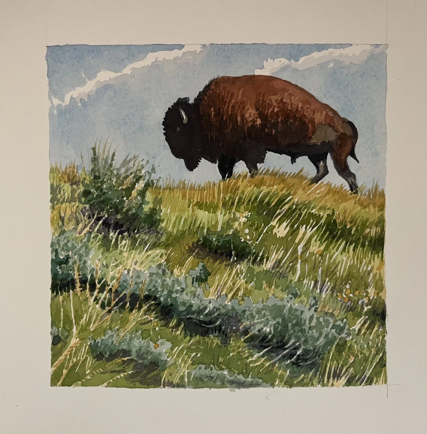 "They Do Roam" 
6" x 6" transparent watercolor. Matted and framed, $200 at gallery only. SOLD