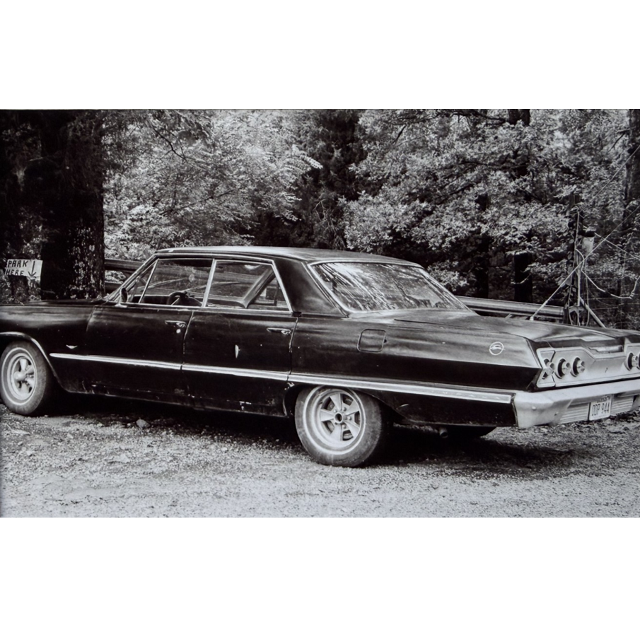 "Impala" Black and white photo approximately 4" x 6" , matted and framed, NFS.