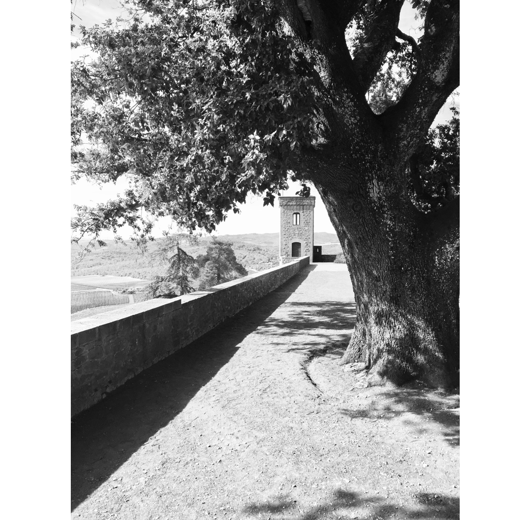 "Chianti" black and white photograph, approximately 5" x 7", matted and framed to 13" x 13"  - $80 at gallery only.