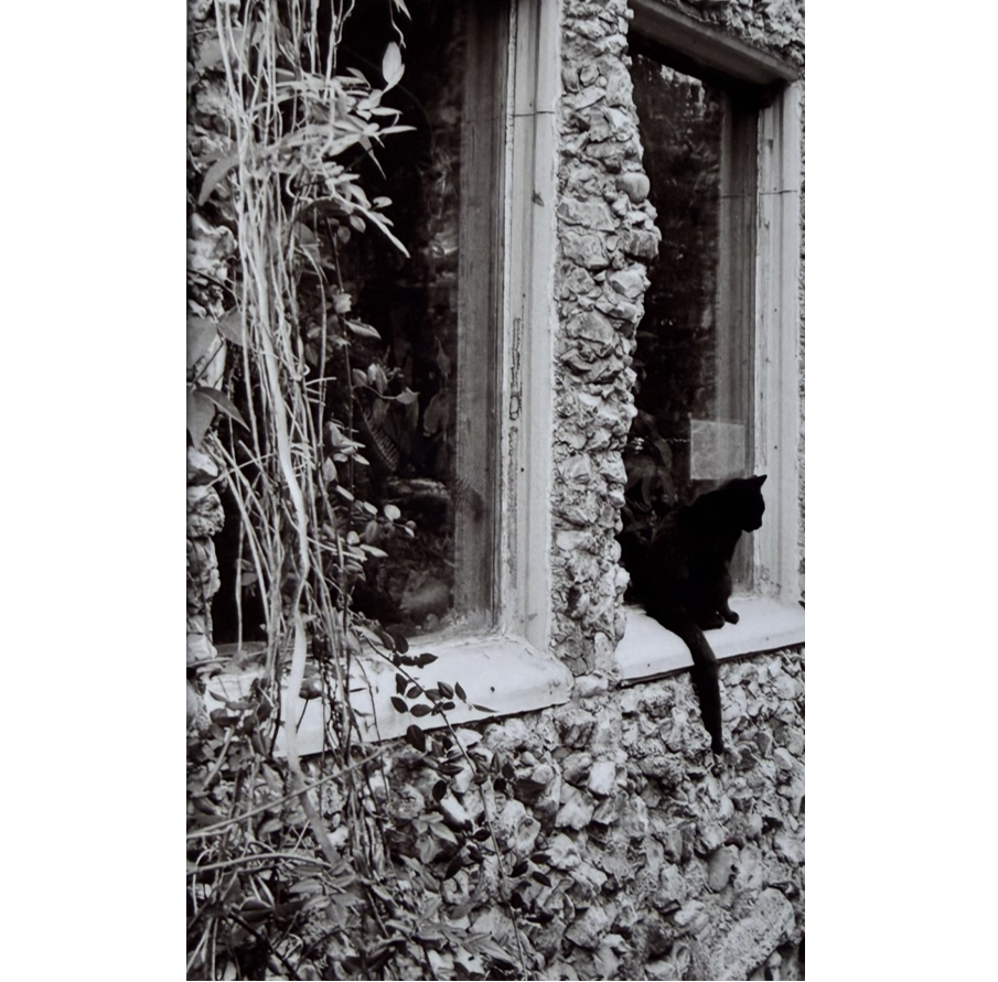 "Window Seat" Black and white photo approximately 4" x 6" , matted, NFS