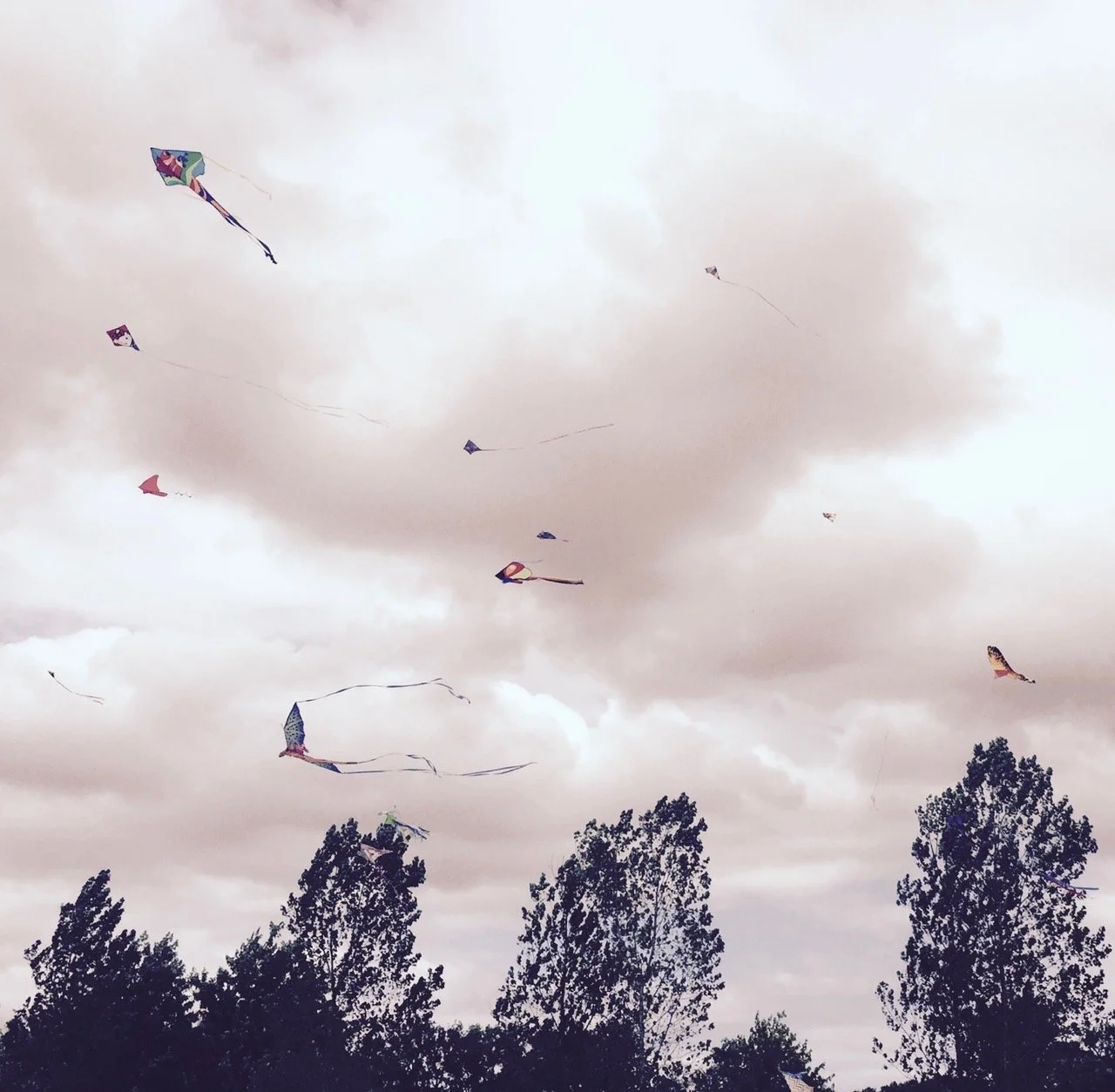 "Kites" color photograph, approximately 6" x 6", matted and framed to 13" x 13" - $80 at gallery only.