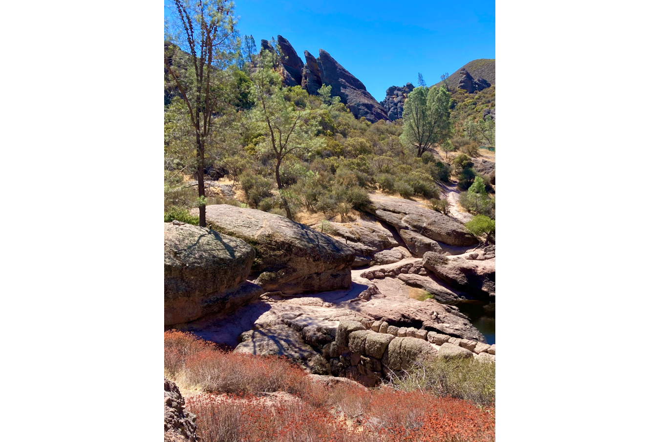 "Bear Gulch, Pinnacles National Park, California"  2025 color photograph 14" x 11".  $175 at gallery purchase only. SOLD