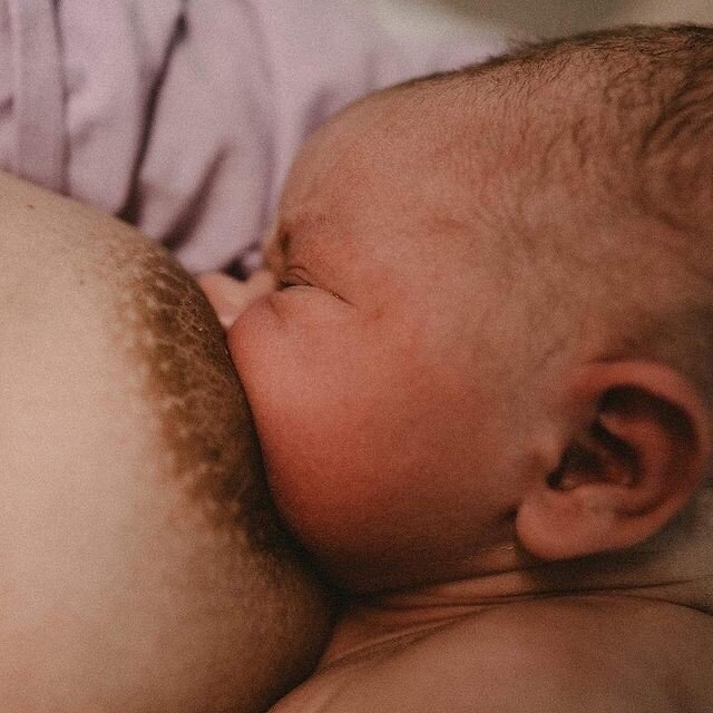 🧡 Breast Bury🧡

It's pretty awe-inspiring to think about how amazing the human body is, especially when it comes to something as pivotal as breastfeeding. 

Starting your breastfeeding journey can be an overwhelming and emotional experience, but it